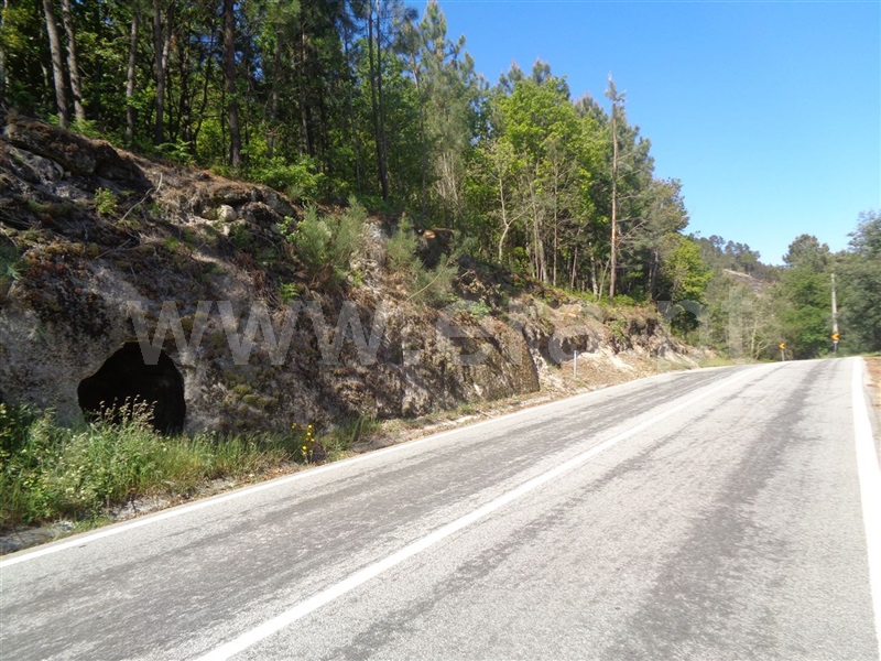 Terreno  Baião, Campelo e Ovil - 708177 - 4