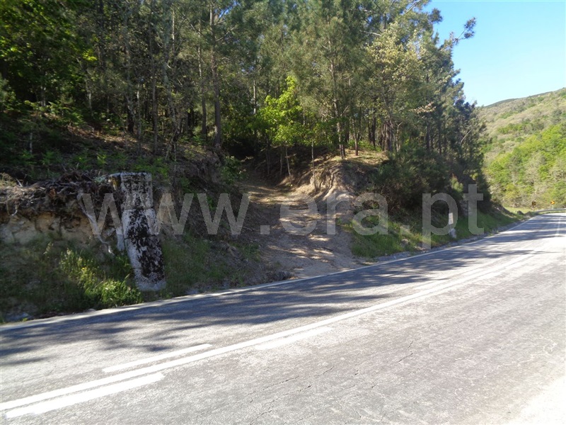 Terreno  Baião, Campelo e Ovil - 708177 - 1