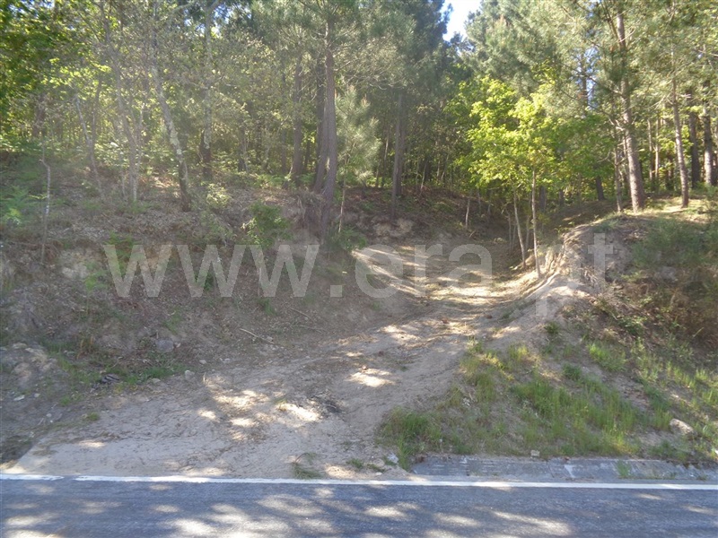 Terreno  Baião, Campelo e Ovil - 708177 - 5