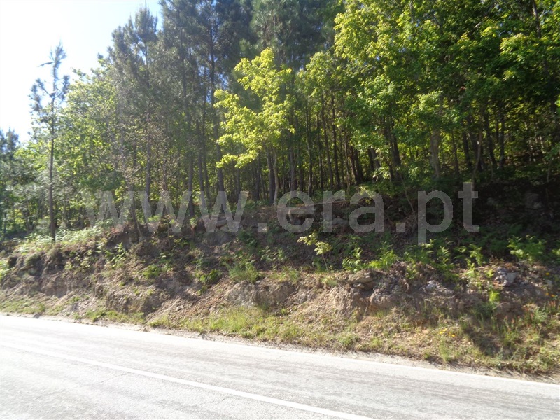Terreno  Baião, Campelo e Ovil - 708177 - 6