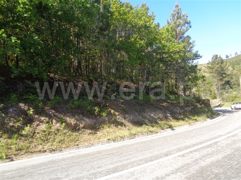 Terreno  Baião, Campelo e Ovil - 708177 - 8