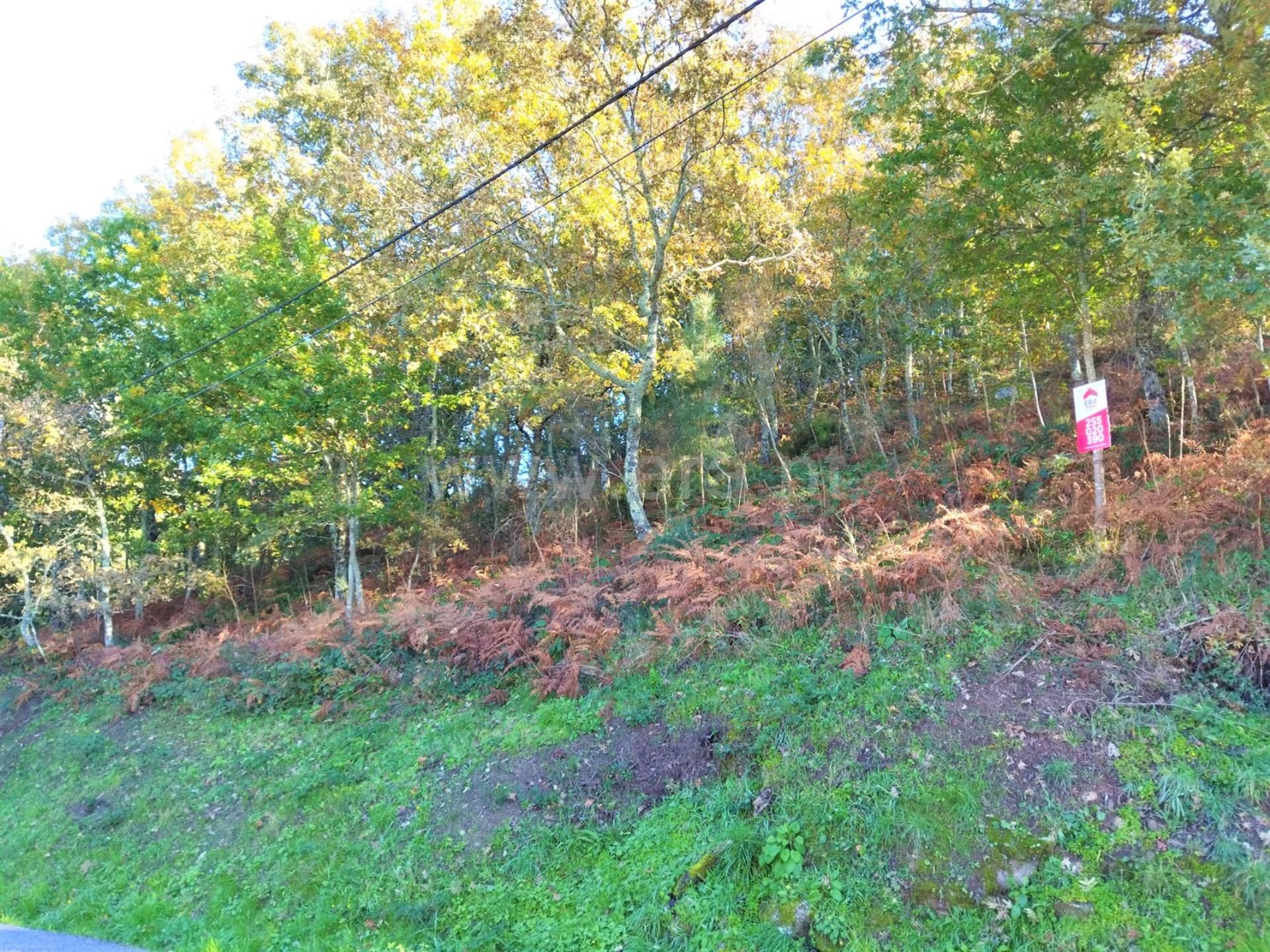Land for sale in Baião, Portugal — €57,500