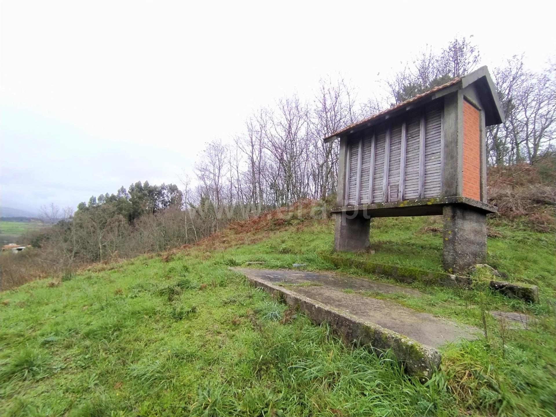 Land for sale in Baião, Portugal — €110,000