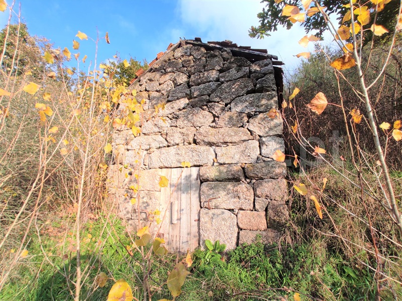 Terreno / Baião, Gove