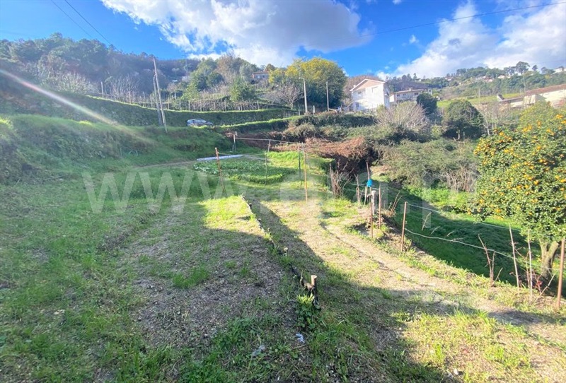Terreno  Baião, Gove - 1300717 - 6