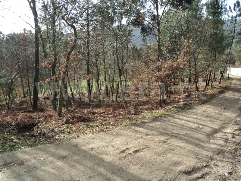 Terreno  Baião, Gove - 877956 - 1