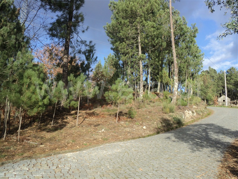 Terreno  Baião, Gove - 877956 - 3