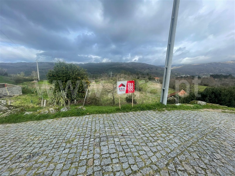 Terreno / Baião, Loivos do Monte