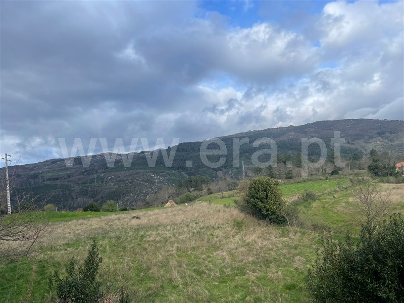 Terreno  Baião, Loivos do Monte - 1388314 - 2