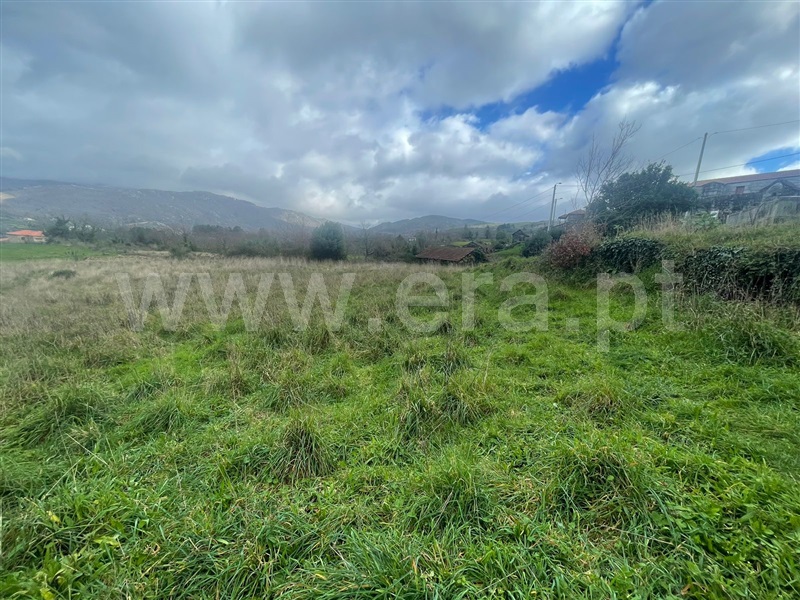 Terreno  Baião, Loivos do Monte - 1388314 - 3