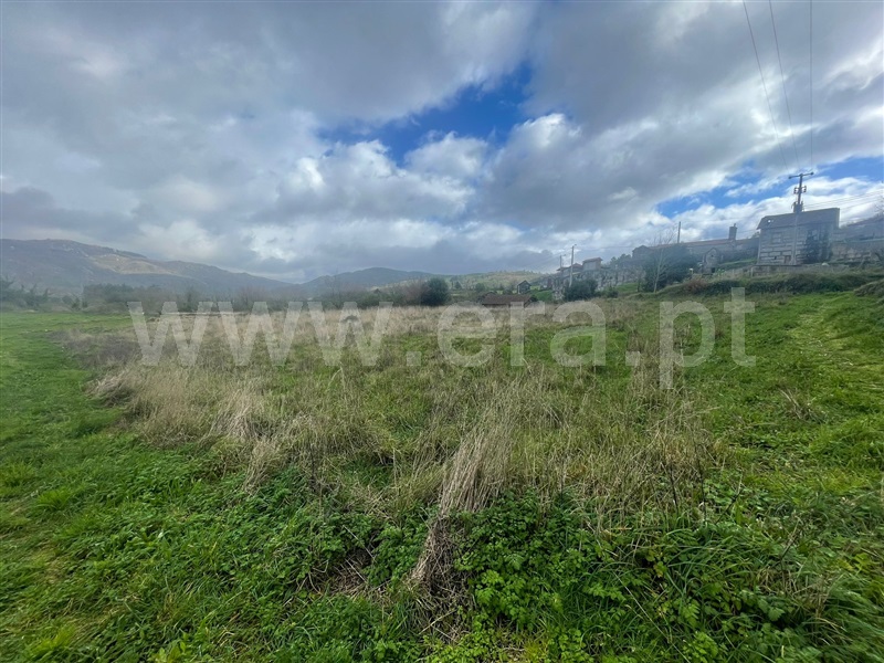 Terreno  Baião, Loivos do Monte - 1388314 - 4