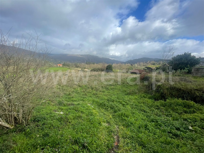 Terreno  Baião, Loivos do Monte - 1388314 - 5