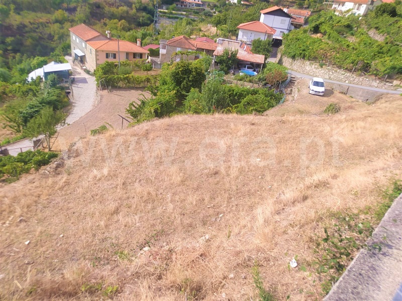 Terreno  Baião, Rio Douro - 1271565 - 1