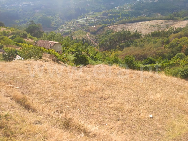 Terreno  Baião, Rio Douro - 1271565 - 2