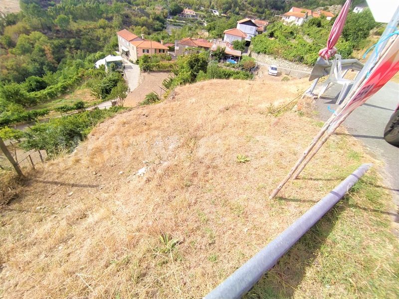 Terreno  Baião, Rio Douro - 1271565 - 3