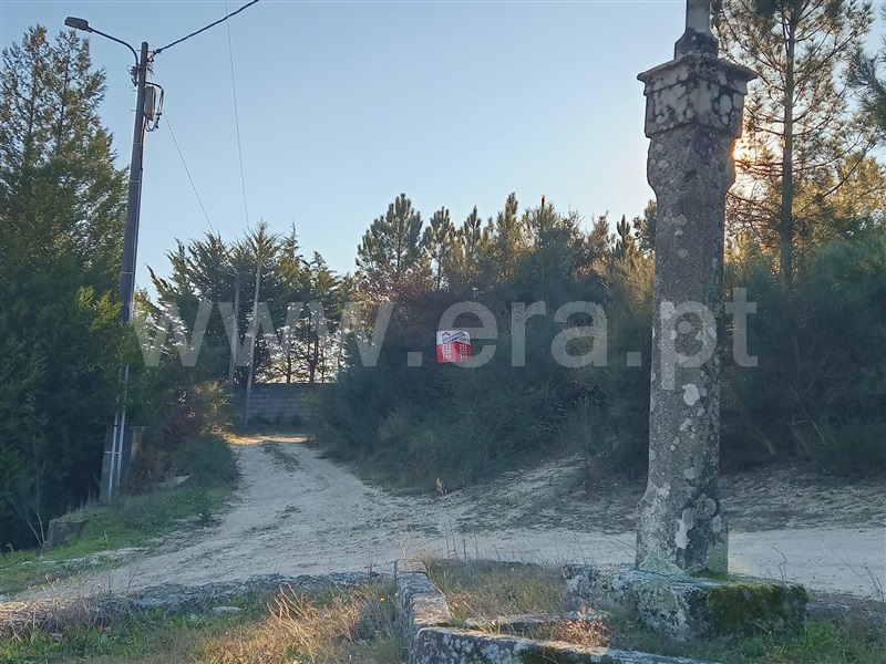 Terreno  Baião, Santa Cruz do Douro e São Tomé de Covelas - 1175995 - 9