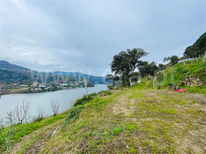 Terreno / Baião, Santa Cruz do Douro e São Tomé de Covelas