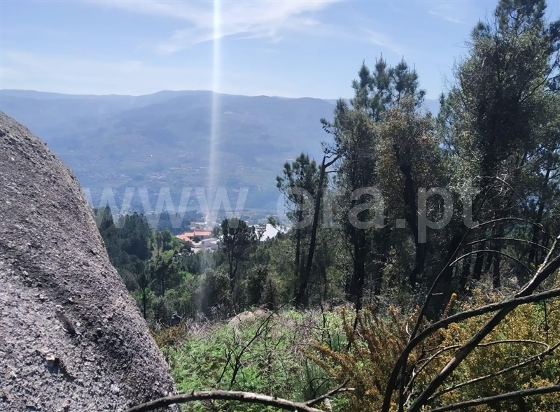 Terreno / Baião, Santa Cruz do Douro e São Tomé de Covelas