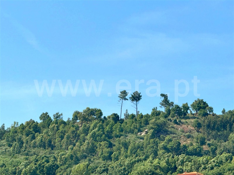 Terreno / Baião, Santa Marinha do Zêzere