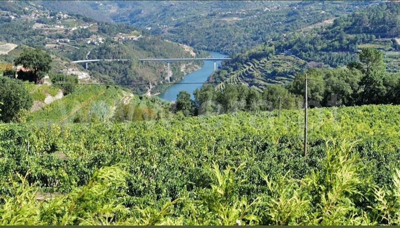 Terreno  Baião, Santa Marinha do Zêzere - 1411489 - 2