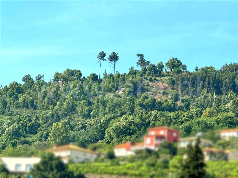 Terreno  Baião, Santa Marinha do Zêzere - 1411489 - 3