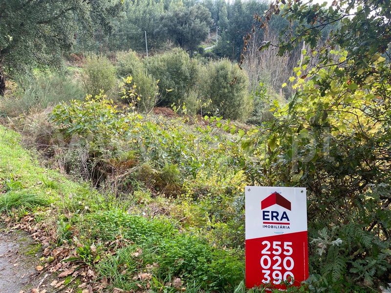 Terreno / Baião, Santa Marinha do Zêzere
