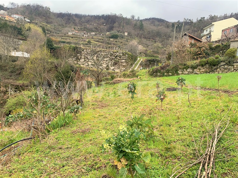 Terreno  Baião, Teixeira e Teixeiró - 1312851 - 2