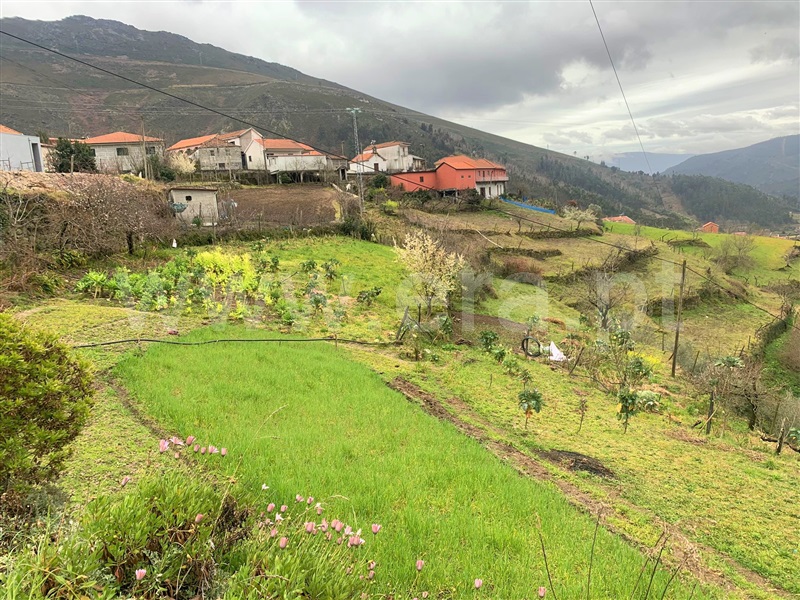 Terreno  Baião, Teixeira e Teixeiró - 1312851 - 6