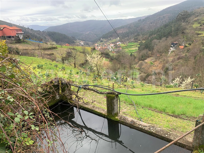 Terreno / Baião, Teixeira e Teixeiró