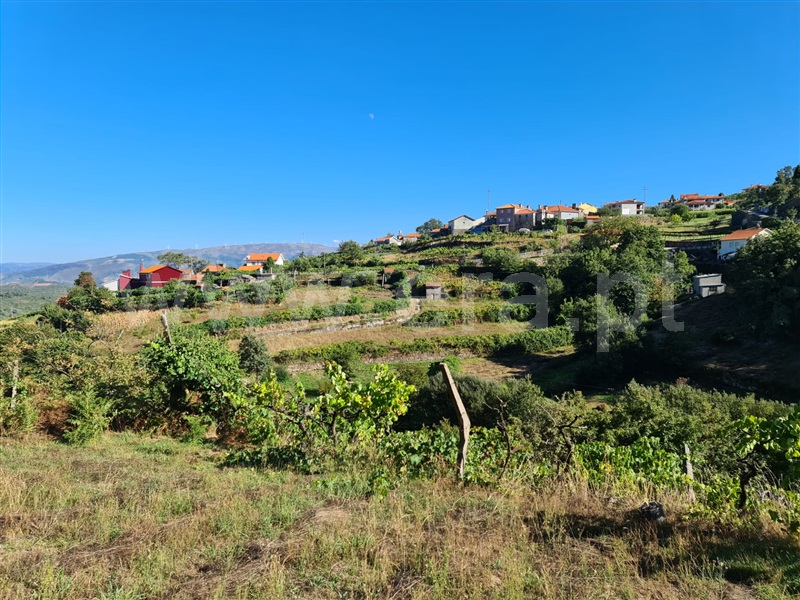 Terreno  Baião, Valadares - 1125054 - 5