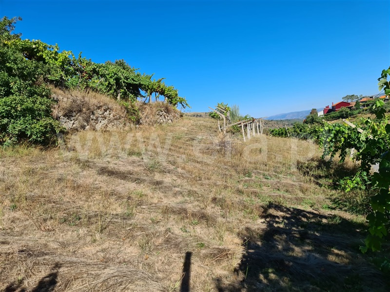 Terreno  Baião, Valadares - 1125054 - 8