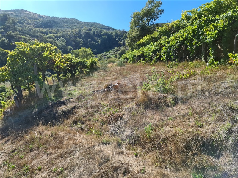Terreno  Baião, Valadares - 1125054 - 10