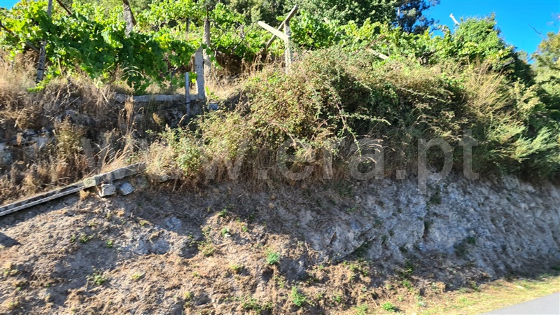 Terreno  Baião, Valadares - 1125054 - 11