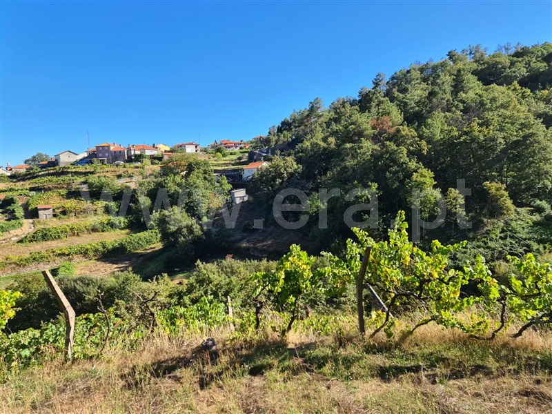 Terreno  Baião, Valadares - 1125054 - 13