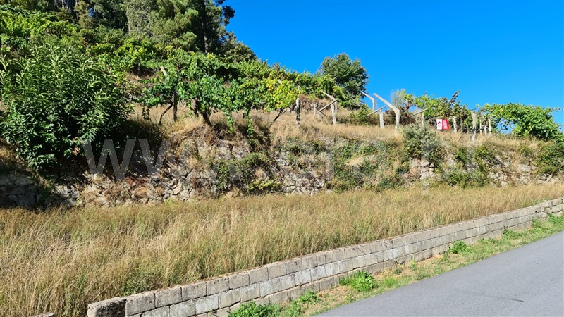 Terreno  Baião, Valadares - 1125054 - 16
