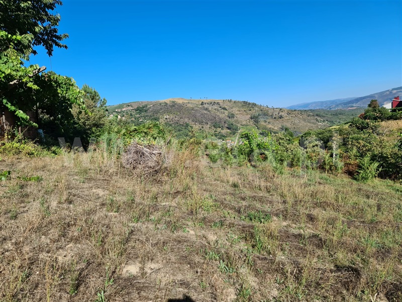 Terreno  Baião, Valadares - 1125054 - 17