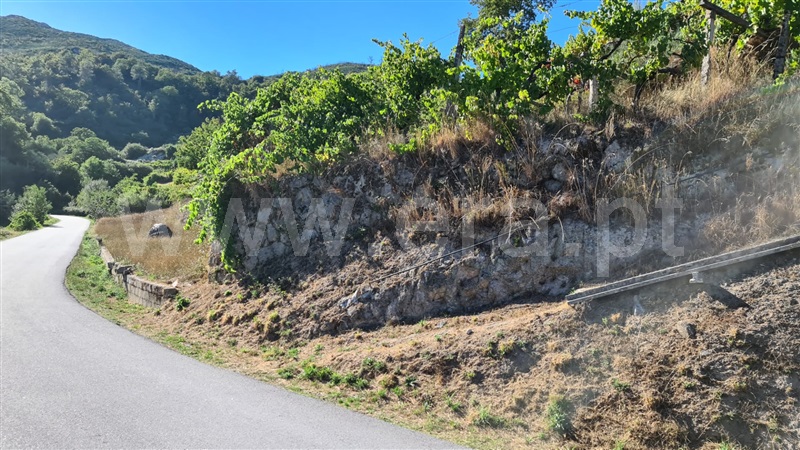 Terreno  Baião, Valadares - 1125054 - 1