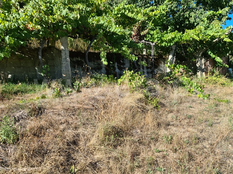 Terreno  Baião, Valadares - 1125054 - 18