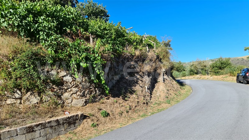 Terreno  Baião, Valadares - 1125054 - 20