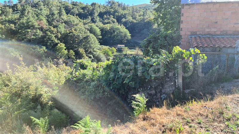 Terreno  Baião, Valadares - 1125054 - 21