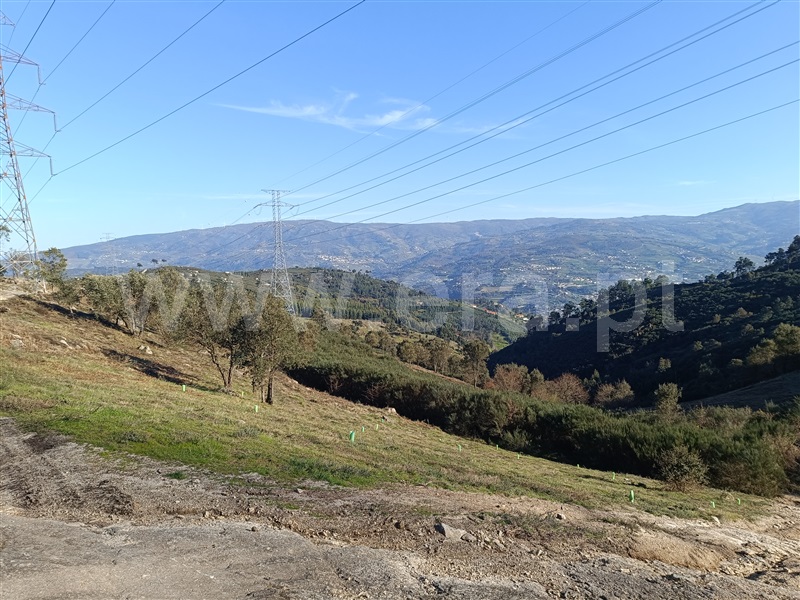 Terreno / Baião, Valadares