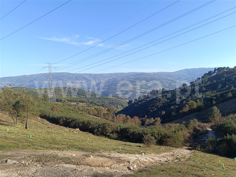 Terreno  Baião, Valadares - 1398135 - 7