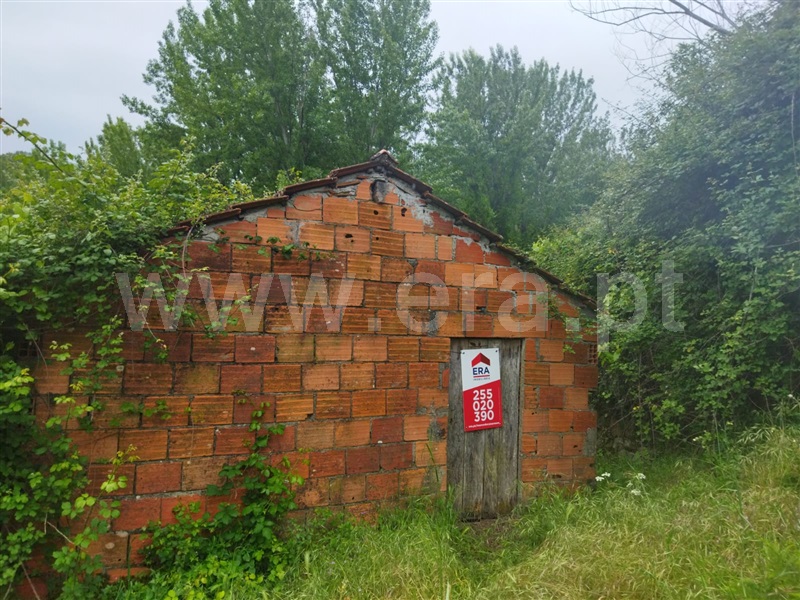 Terreno / Baião, Viariz