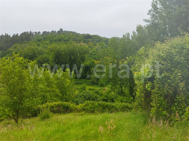 Terreno  Baião, Viariz - 1425764 - 3