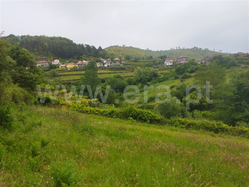 Terreno  Baião, Viariz - 1425764 - 4