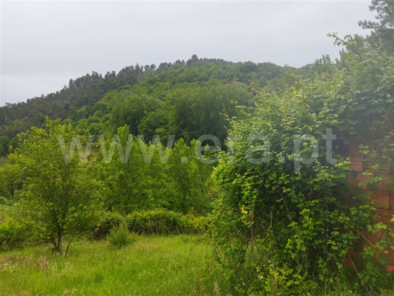 Terreno  Baião, Viariz - 1425764 - 5