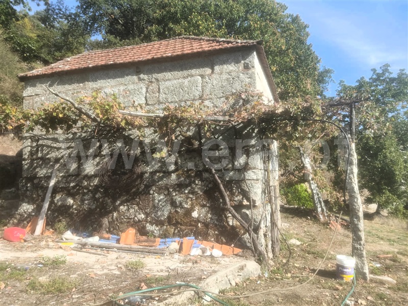 Terreno / Baião, Viariz