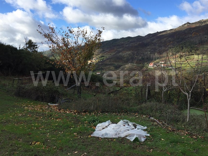 Terreno  Baião, Viariz - 965372 - 2