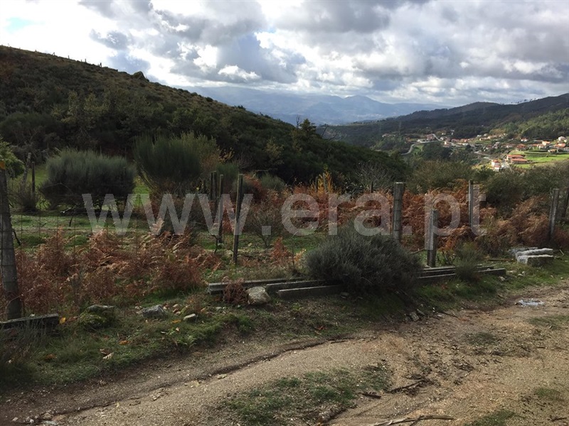 Terreno  Baião, Viariz - 965372 - 3
