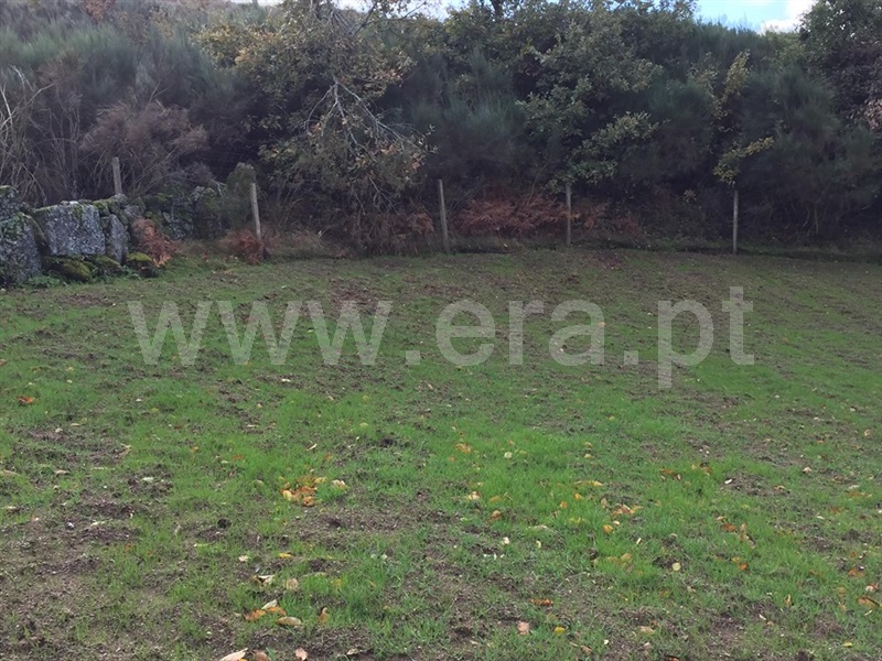 Terreno  Baião, Viariz - 965372 - 5